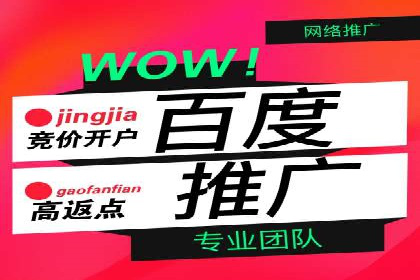 百度推广代运营公司成功案例：精准投放广告的秘诀